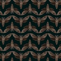 dsStella-DFN3648 Ebony